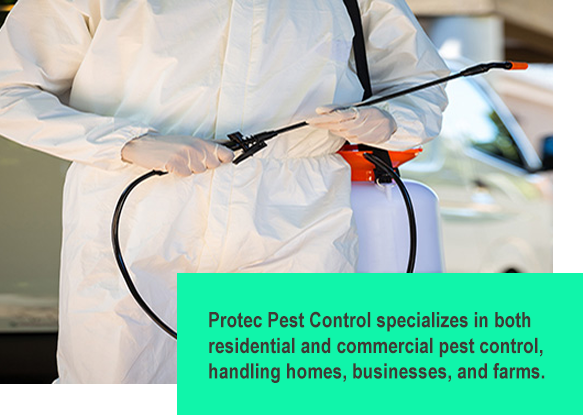 Protec Pest Control specializes in residential and commercial jobs